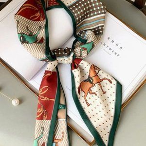 Beautiful Twilly Scarf for neck or purse